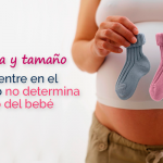 La forma y tamaño del vientre en el embarazo no determina sexo del bebé La forma y tamaño del vientre en el embarazo no determina sexo del bebé