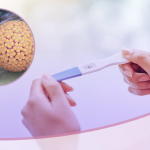 Virus del papiloma humano: ¿podré tener hijos si tengo esta infección? Virus del papiloma humano: ¿podré tener hijos si tengo esta infección?